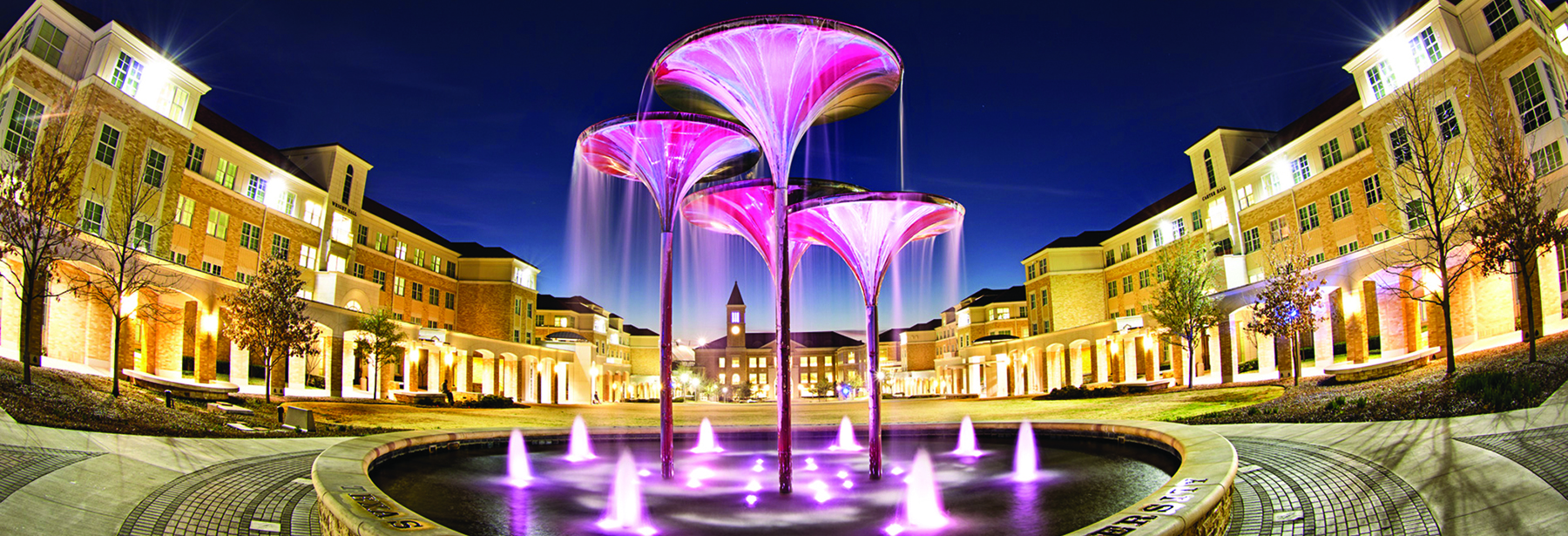Section Image: Frog Fountain at night 