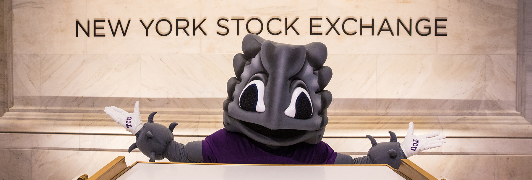 Section Image: SuperFrog at the New York Stock Exchange 